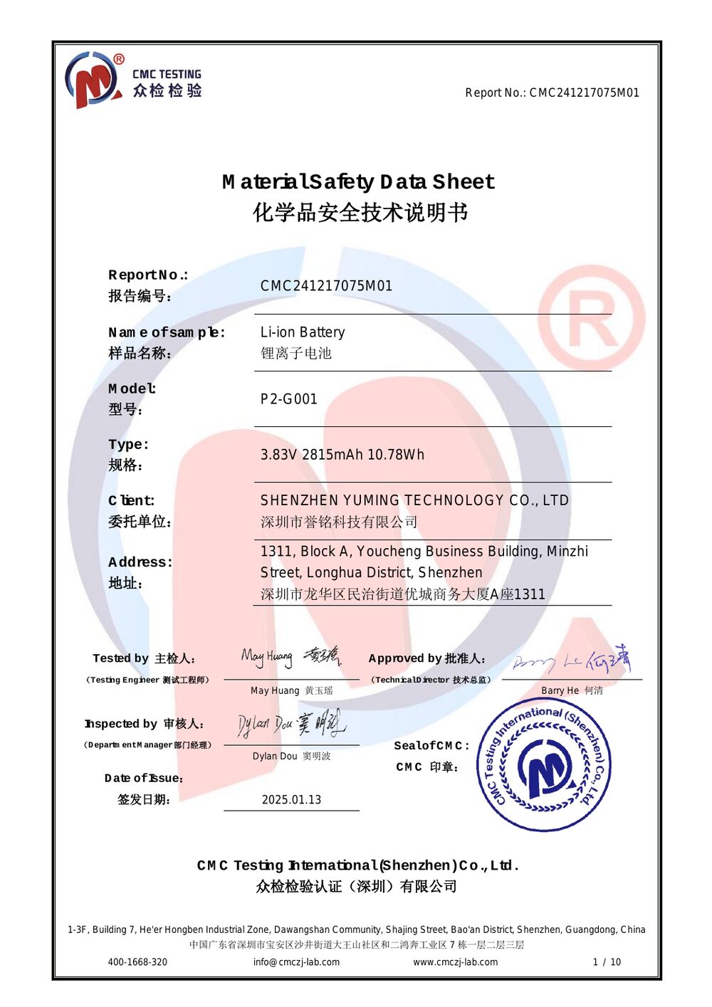 MSDS Report — page 1