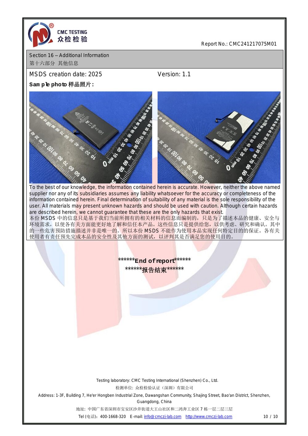 MSDS Report — page 10